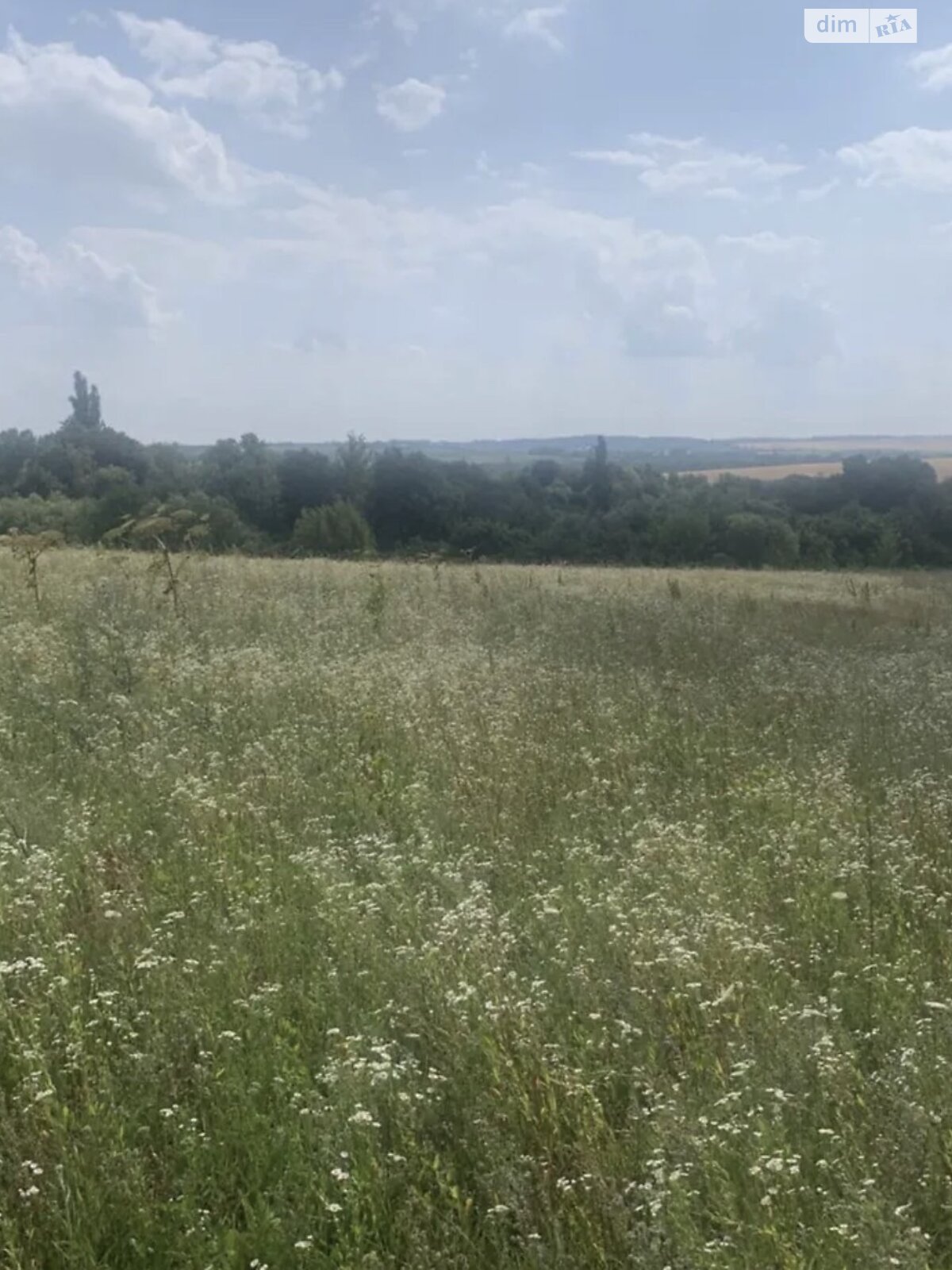 Земельна ділянка сільськогосподарського призначення в Малашівцях, площа 9.5 сотки фото 1