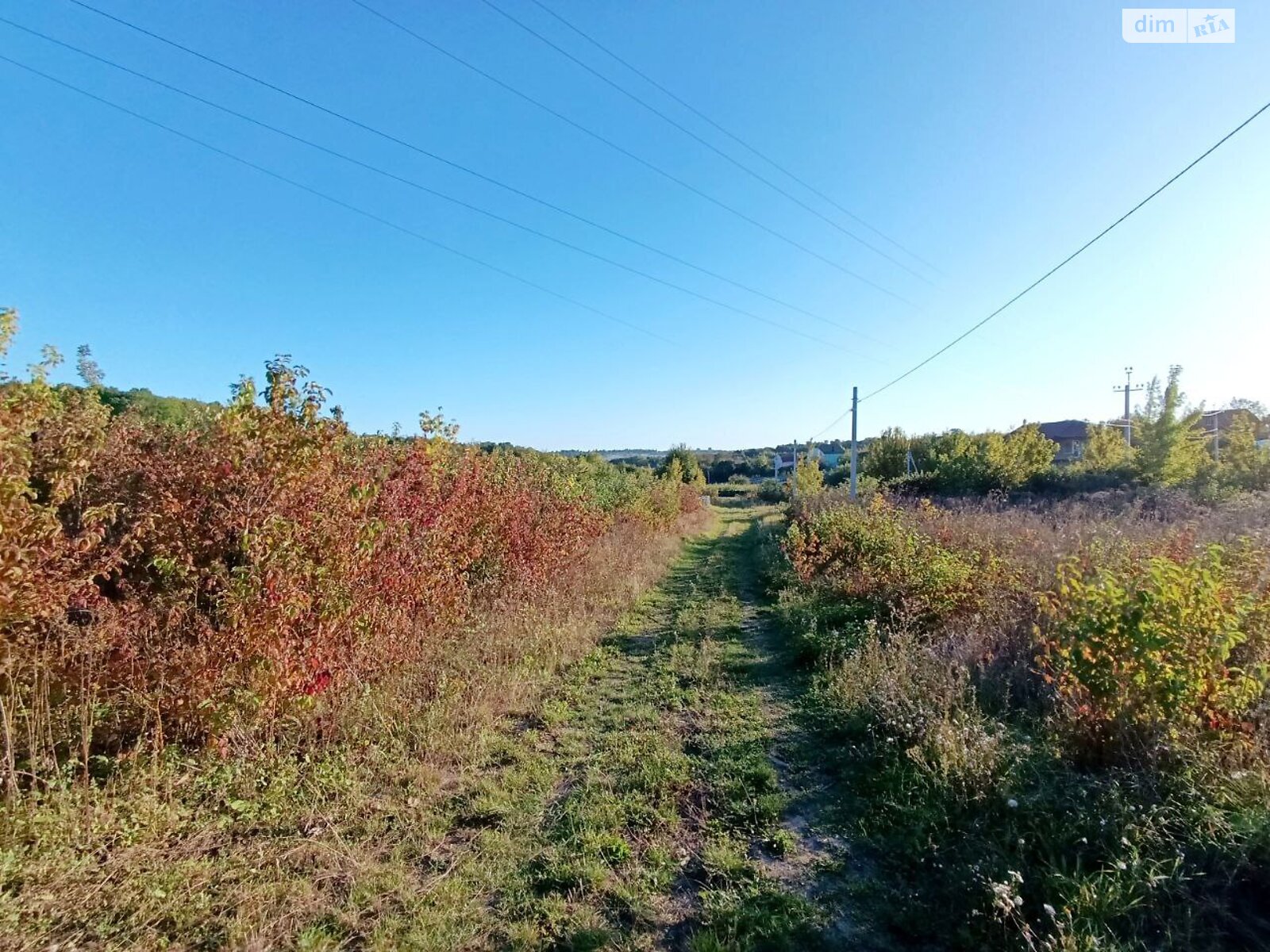 Земля сельскохозяйственного назначения в Хмельницком, район Гречаны дальние, площадь 10.96 сотки фото 1