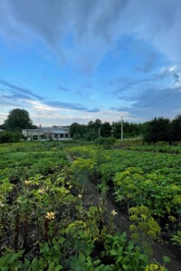 Земля сельскохозяйственного назначения в Хмельницком, район Гречаны, площадь 15 соток фото 2