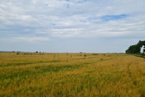 Земля сільськогосподарського призначення в Хмельницькому, район Гречани дальні, площа 1.75 Га фото 2