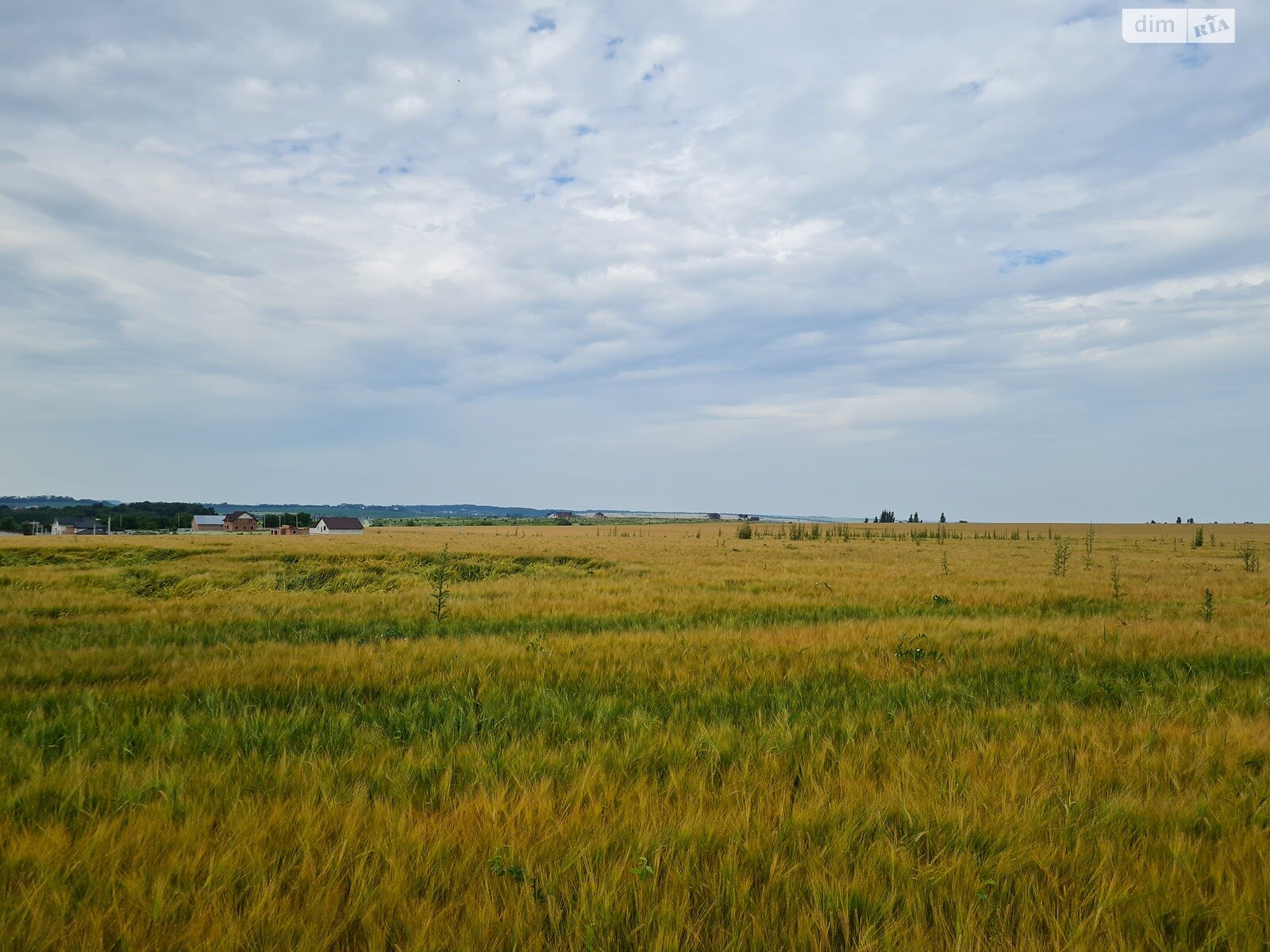 Земля сельскохозяйственного назначения в Хмельницком, район Гречаны дальние, площадь 1.75 Га фото 1