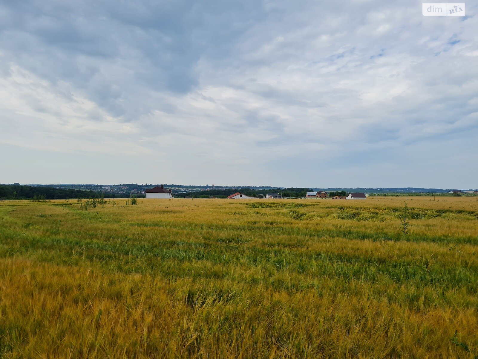 Земля сельскохозяйственного назначения в Хмельницком, район Гречаны дальние, площадь 1.75 Га фото 1