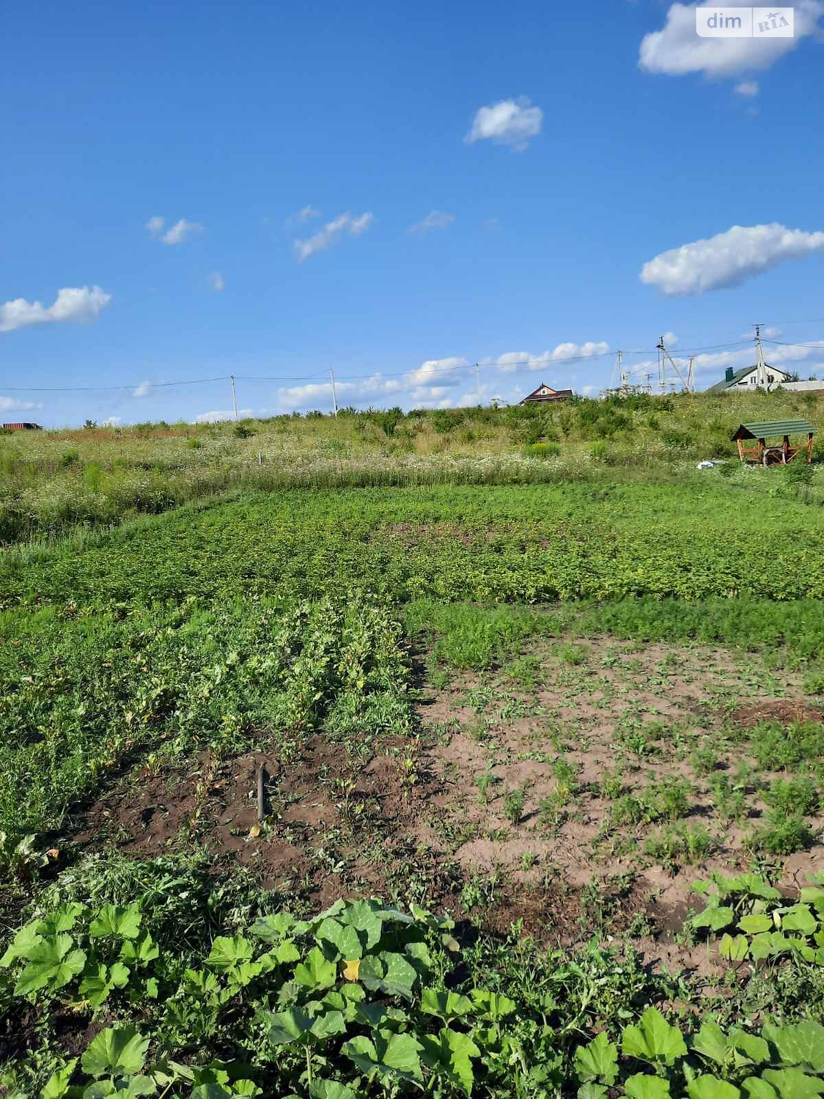 Земля сельскохозяйственного назначения в Хмельницком, район Гречаны дальние, площадь 12.5 сотки фото 1