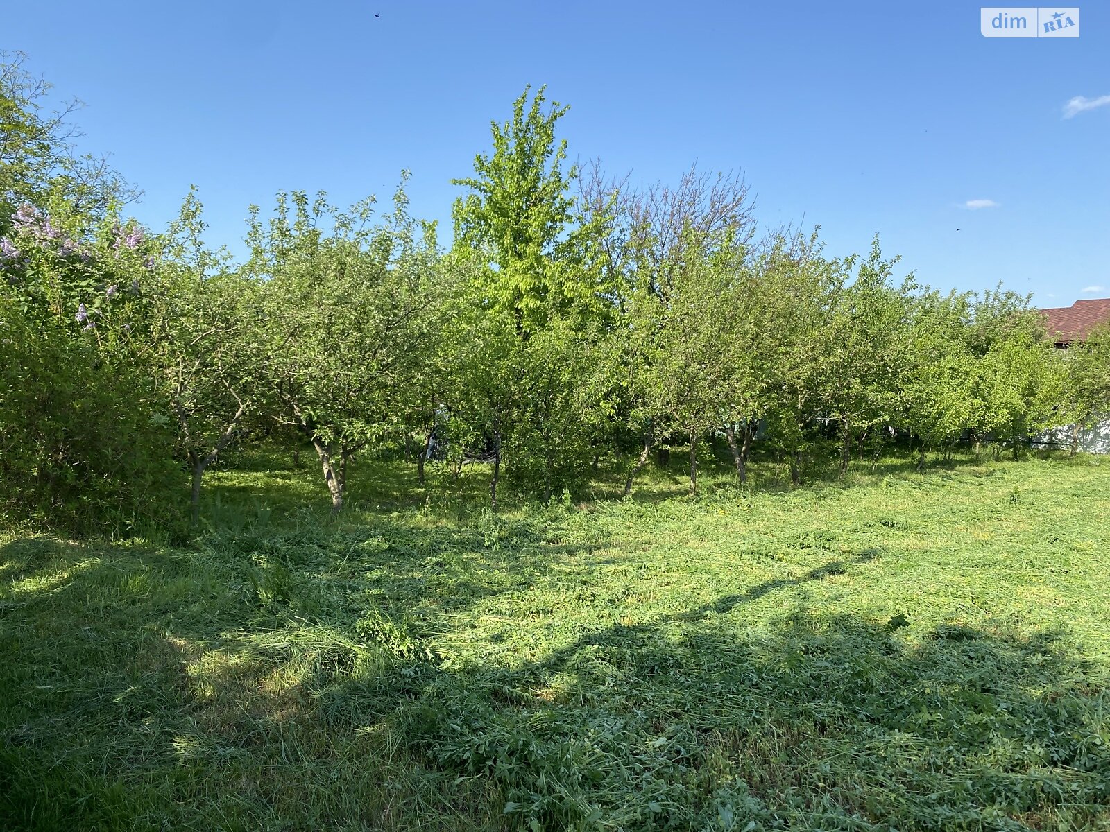 Земля сельскохозяйственного назначения в Хмельницком, район Книжковцы, площадь 0.1142 Га фото 1