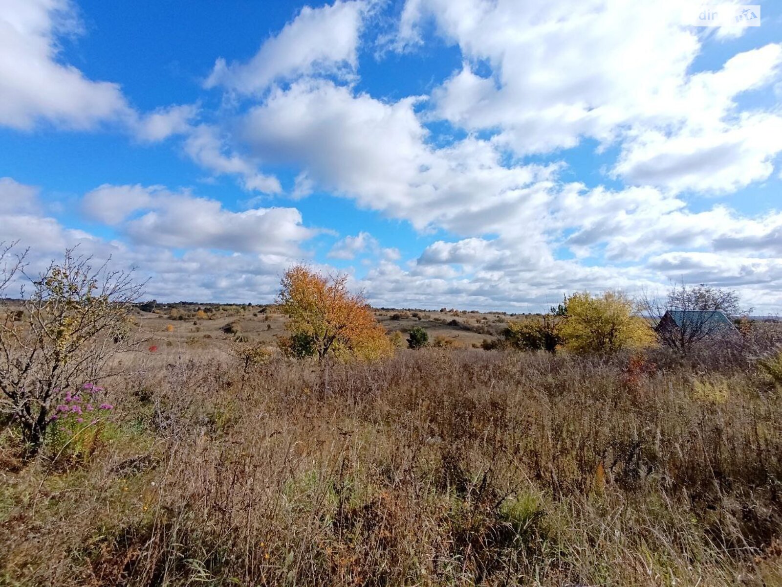 Земля сельскохозяйственного назначения в Хмельницком, район Книжковцы, площадь 5.7 сотки фото 1 Земля сельскохозяйственного назначения в Хмельницком, район Книжковцы, площадь 5.7 сотки фото 1