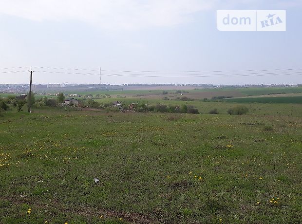 Земля сельскохозяйственного назначения в селе Лесовые Гриновцы, площадь 20 соток фото 1 Земля сельскохозяйственного назначения в селе Лесовые Гриновцы, площадь 20 соток фото 1