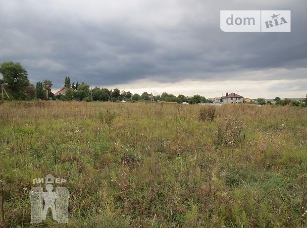 Земля сельскохозяйственного назначения в селе Лесовые Гриновцы, площадь 10 соток фото 1 Земля сельскохозяйственного назначения в селе Лесовые Гриновцы, площадь 10 соток фото 1