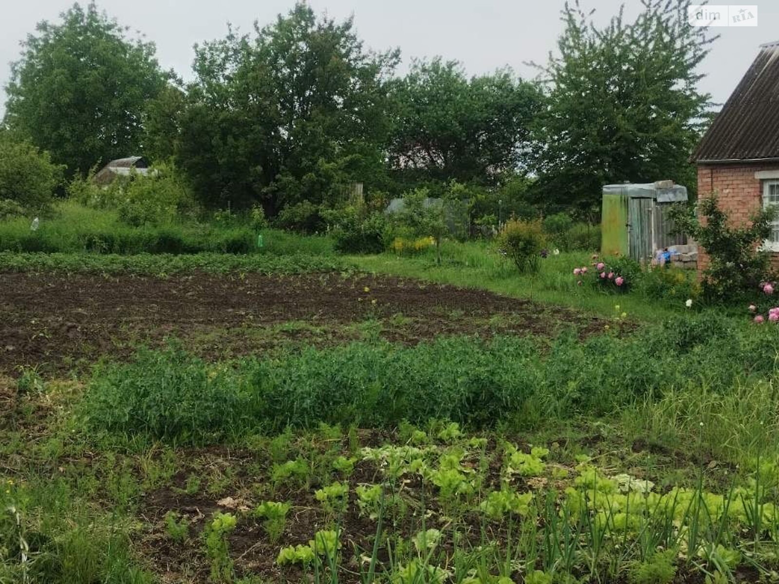 Земля сільськогосподарського призначення в Хмельницькому, район Лезневе, площа 8.5 сотки фото 1 Земля сільськогосподарського призначення в Хмельницькому, район Лезневе, площа 8.5 сотки фото 1