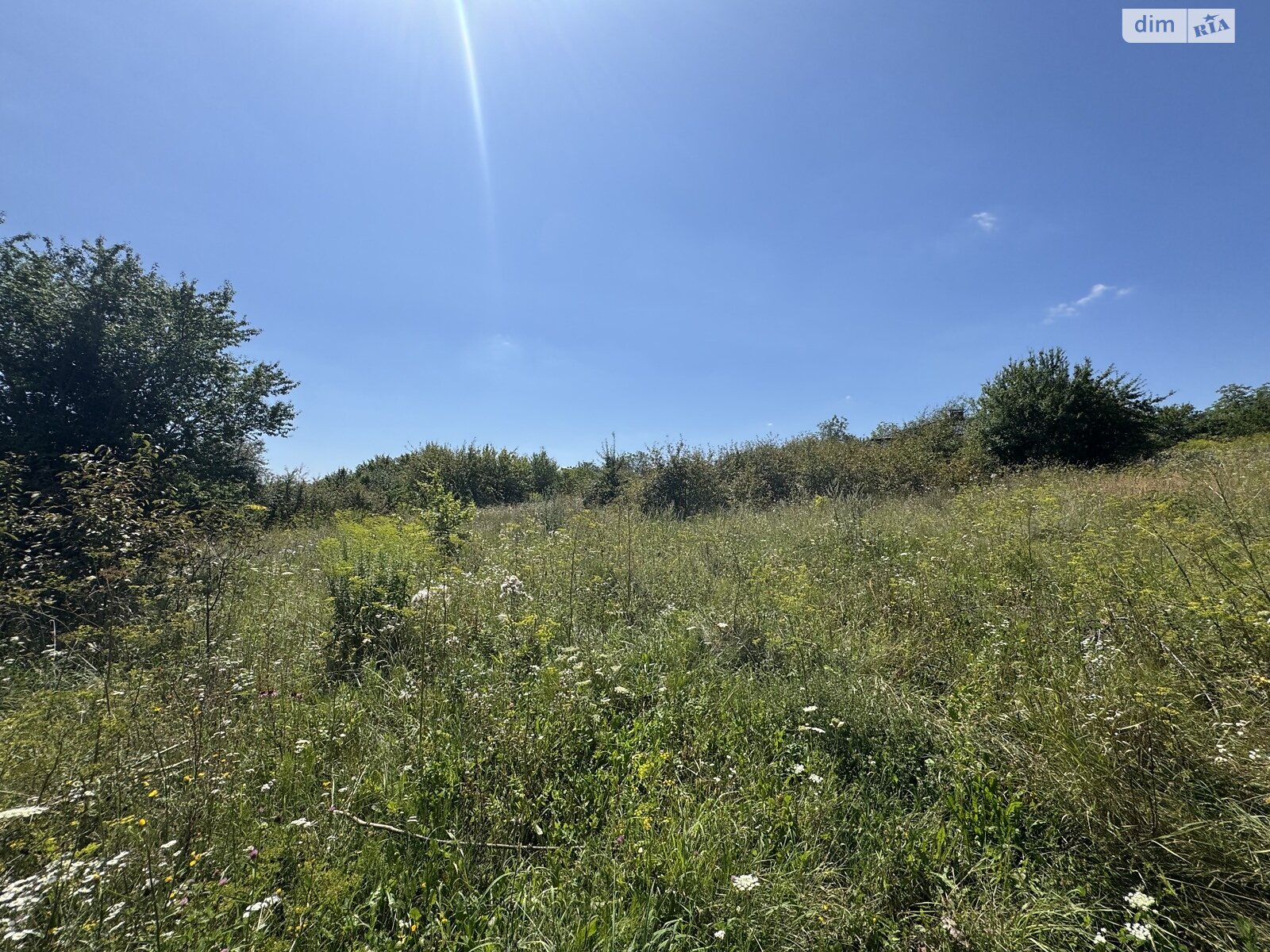 Земля сельскохозяйственного назначения в Хмельницком, район Лезневое, площадь 8 соток фото 1