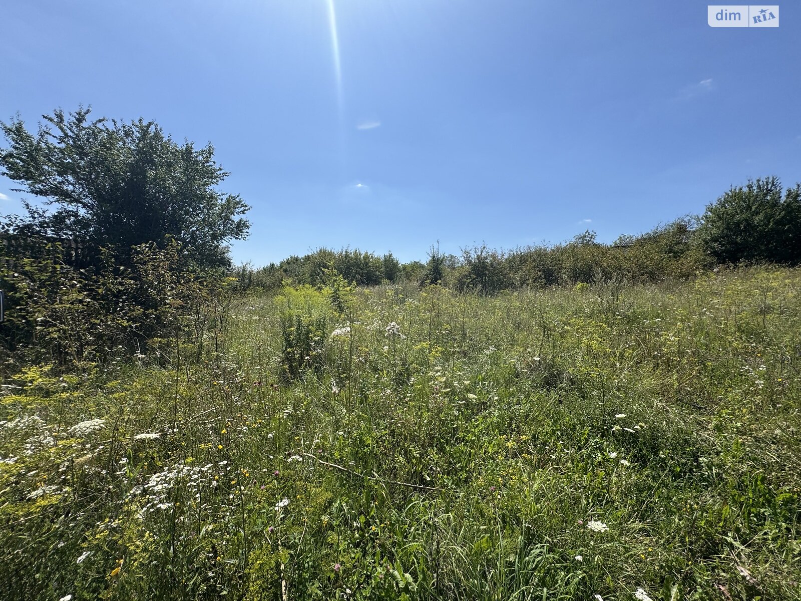 Земля сельскохозяйственного назначения в Хмельницком, район Лезневое, площадь 8 соток фото 1