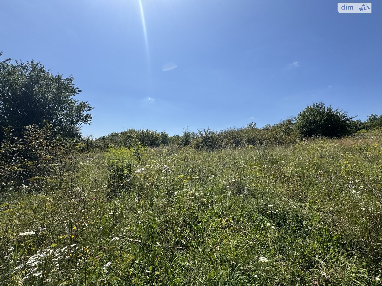 Земля сельскохозяйственного назначения в Хмельницком, район Лезневое, площадь 8 соток фото 1