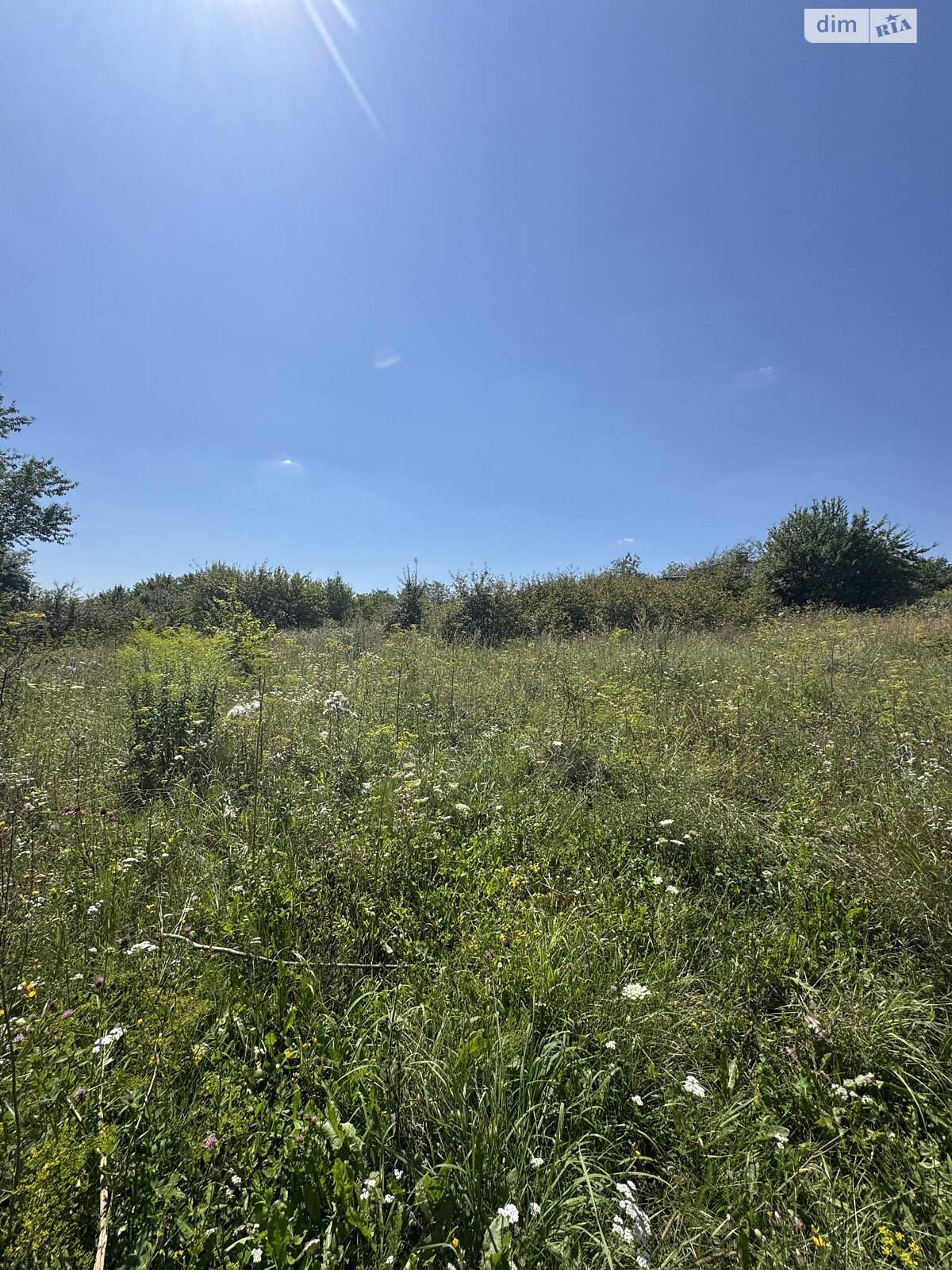 Земля сельскохозяйственного назначения в Хмельницком, район Лезневое, площадь 8 соток фото 1