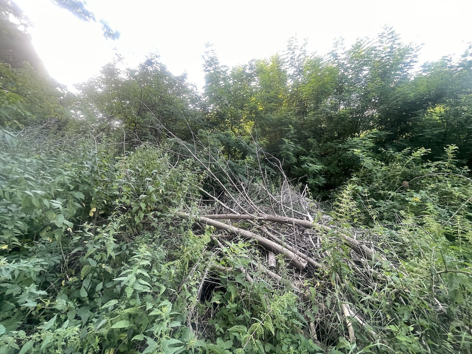 Земля сільськогосподарського призначення в Хмельницькому, район Лезневе, площа 0.06 Га фото 1 Земля сільськогосподарського призначення в Хмельницькому, район Лезневе, площа 0.06 Га фото 1