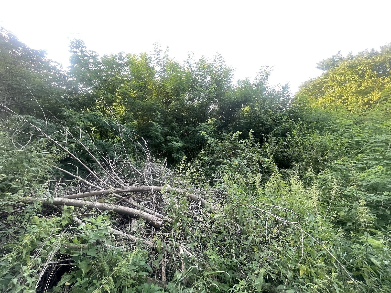 Земля сільськогосподарського призначення в Хмельницькому, район Лезневе, площа 0.06 Га фото 1 Земля сільськогосподарського призначення в Хмельницькому, район Лезневе, площа 0.06 Га фото 1