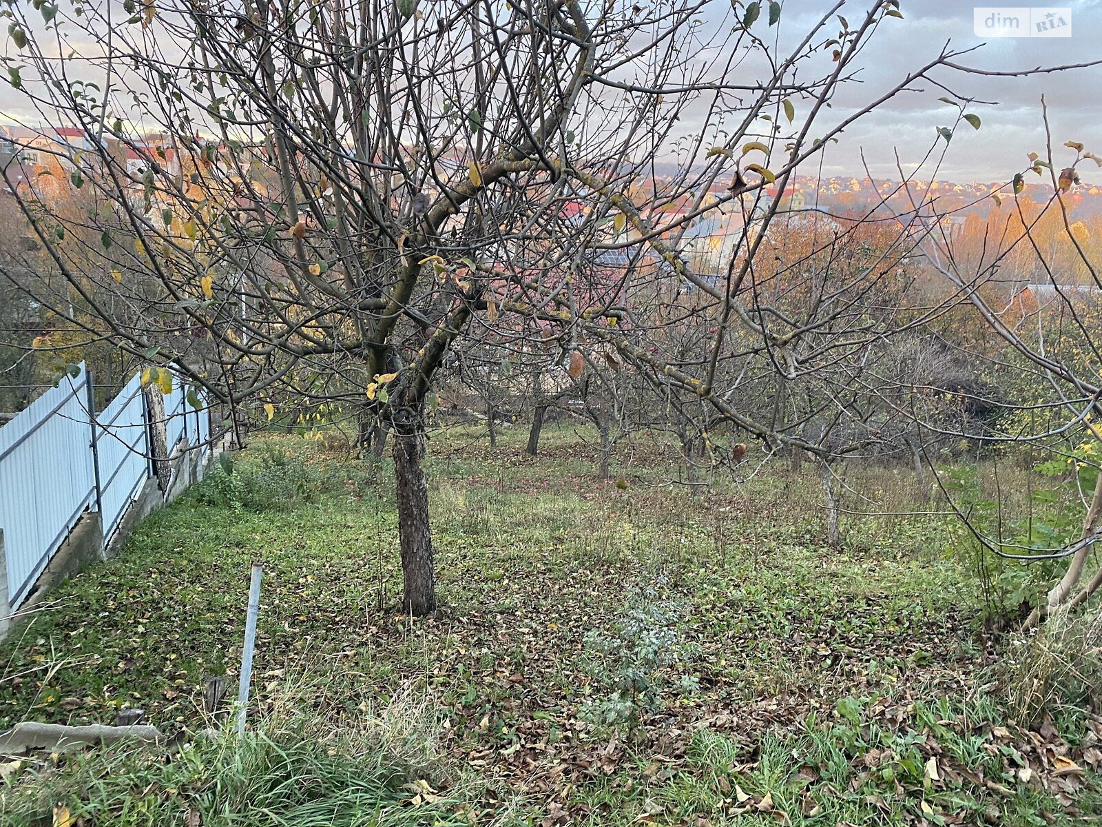 Земля сельскохозяйственного назначения в Хмельницком, район Лезневое, площадь 0.6 Га фото 1