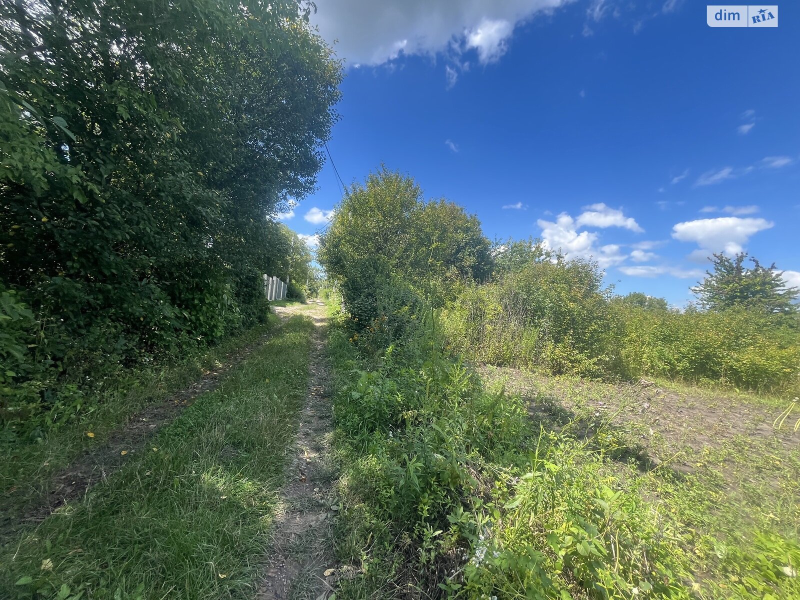 Земля сельскохозяйственного назначения в Хмельницком, район Лезневое, площадь 8 соток фото 1 Земля сельскохозяйственного назначения в Хмельницком, район Лезневое, площадь 8 соток фото 1