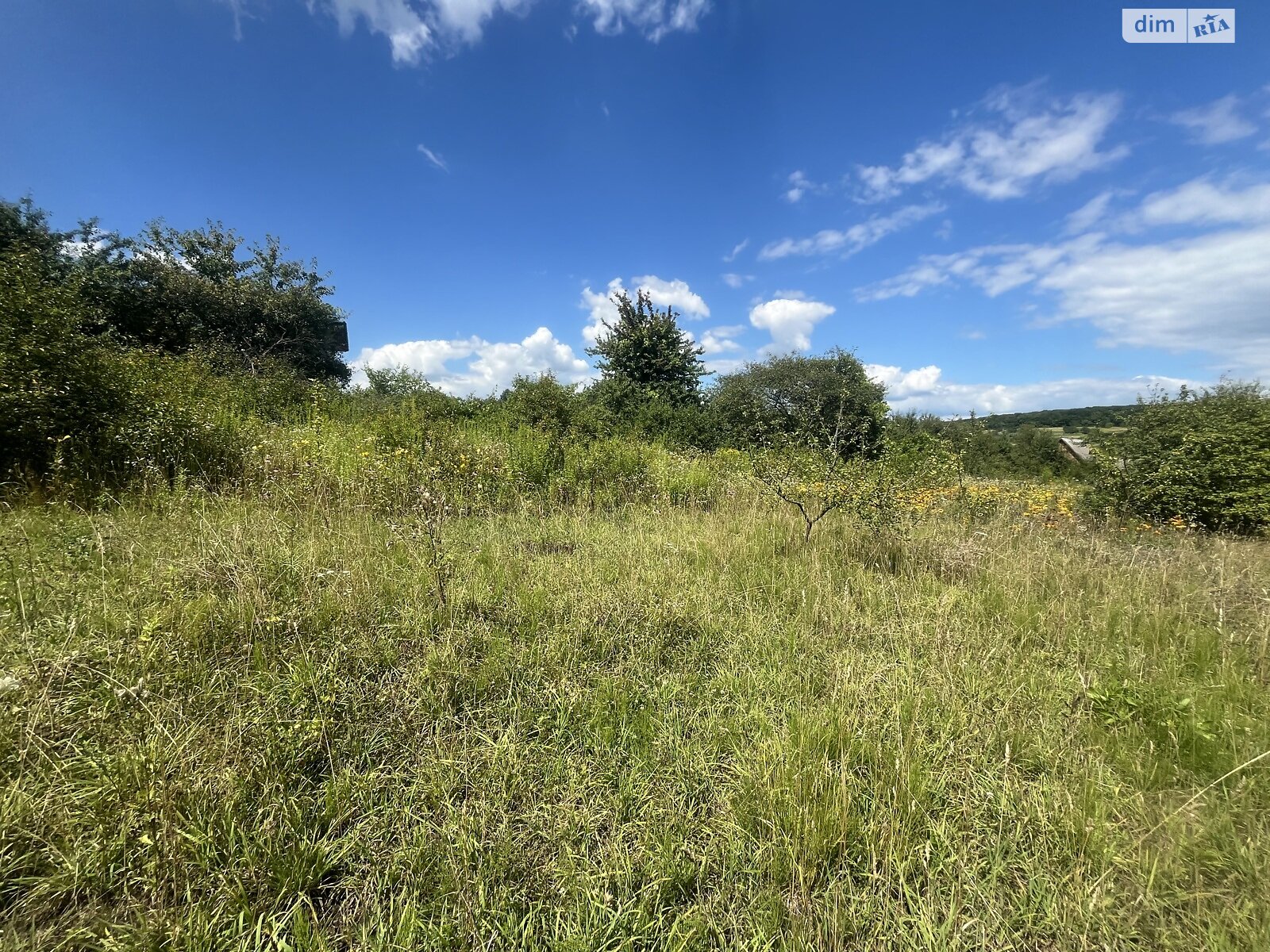 Земля сельскохозяйственного назначения в Хмельницком, район Лезневое, площадь 8 соток фото 1 Земля сельскохозяйственного назначения в Хмельницком, район Лезневое, площадь 8 соток фото 1