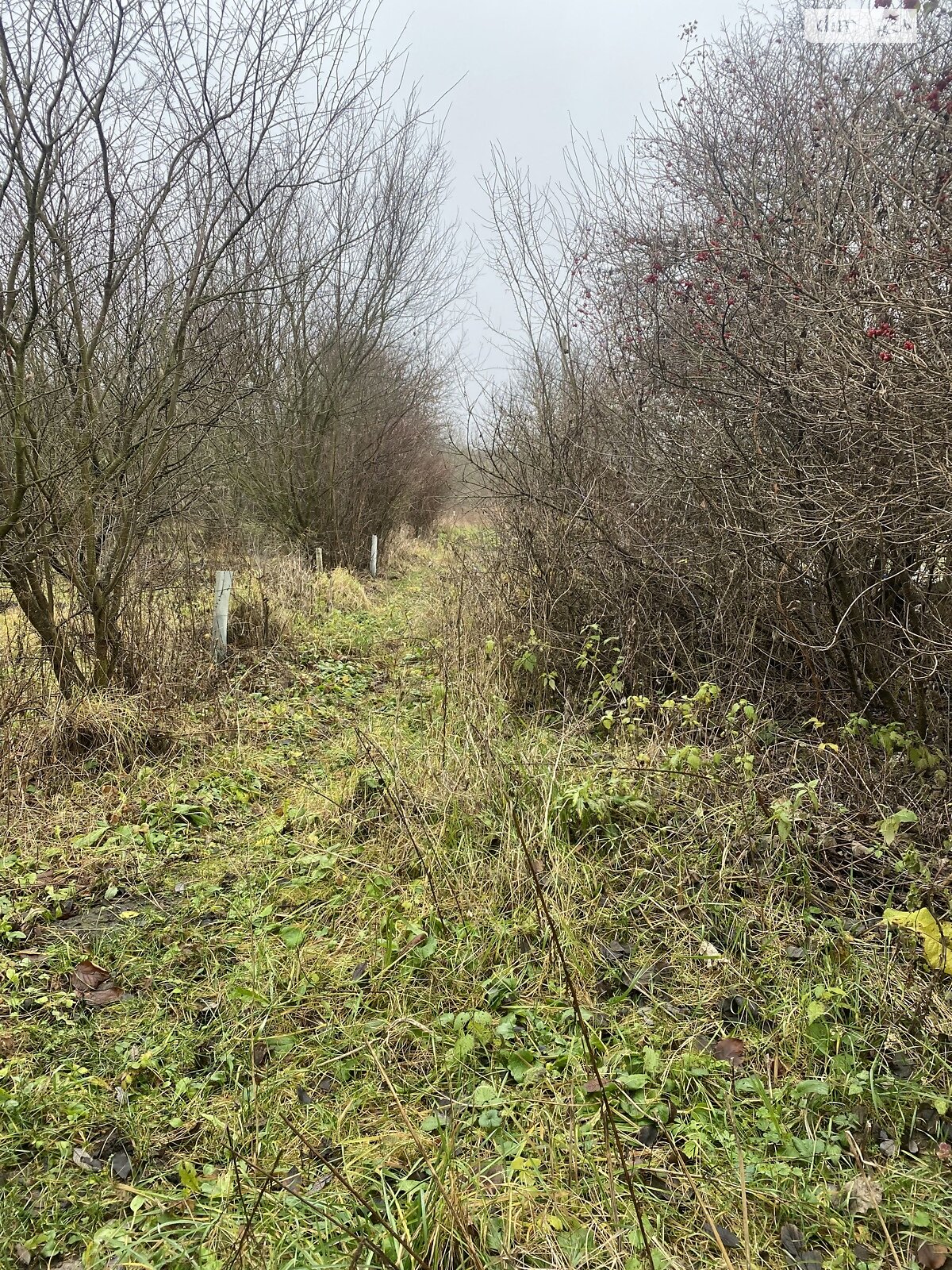 Земля сельскохозяйственного назначения в Хмельницком, район Лезневое, площадь 8 соток фото 1