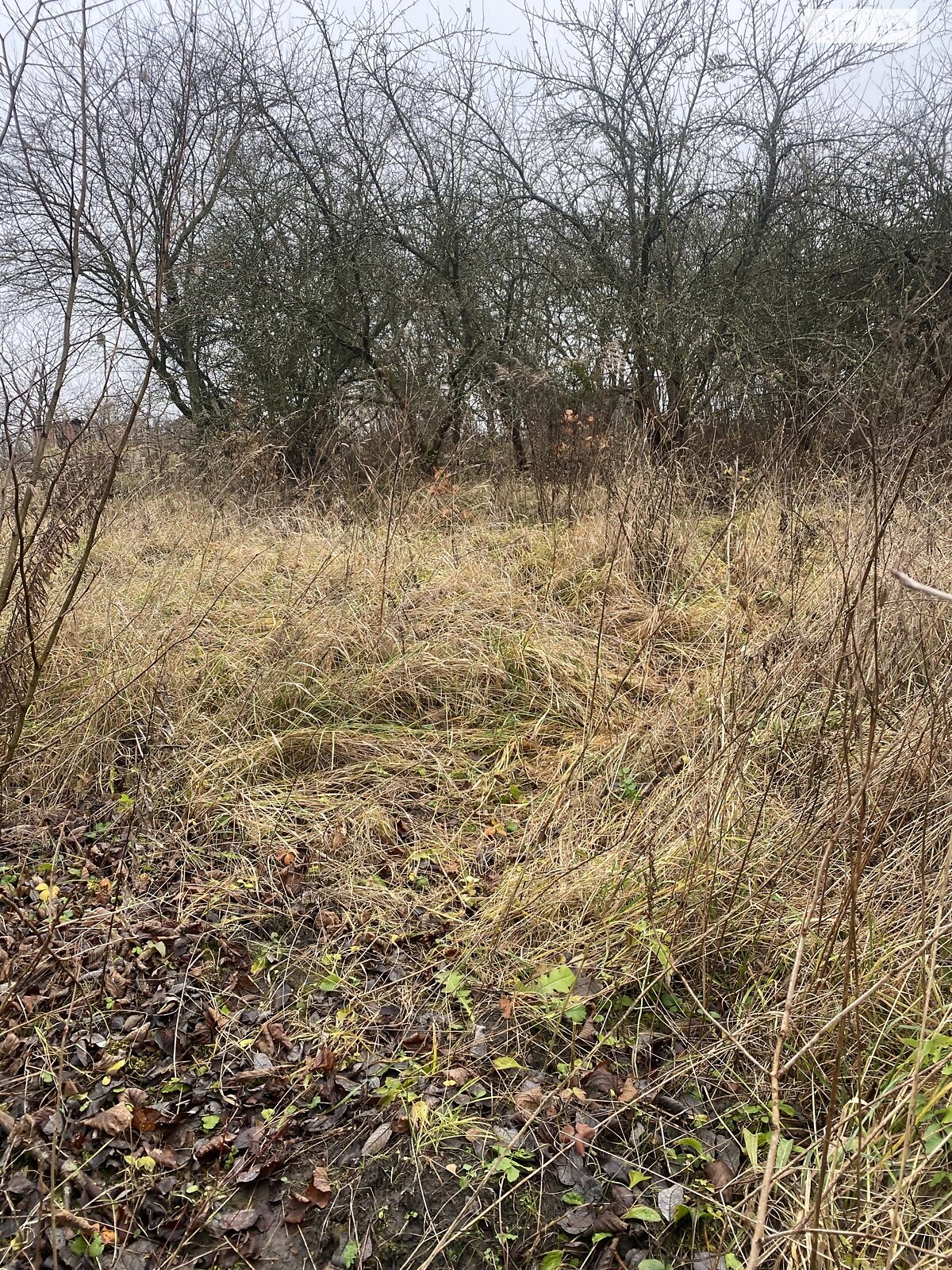 Земля сельскохозяйственного назначения в Хмельницком, район Лезневое, площадь 8 соток фото 1