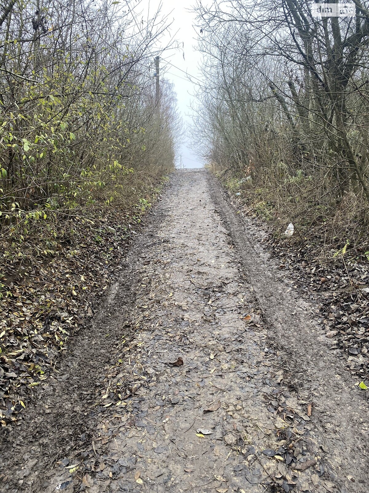 Земля сельскохозяйственного назначения в Хмельницком, район Лезневое, площадь 8 соток фото 1