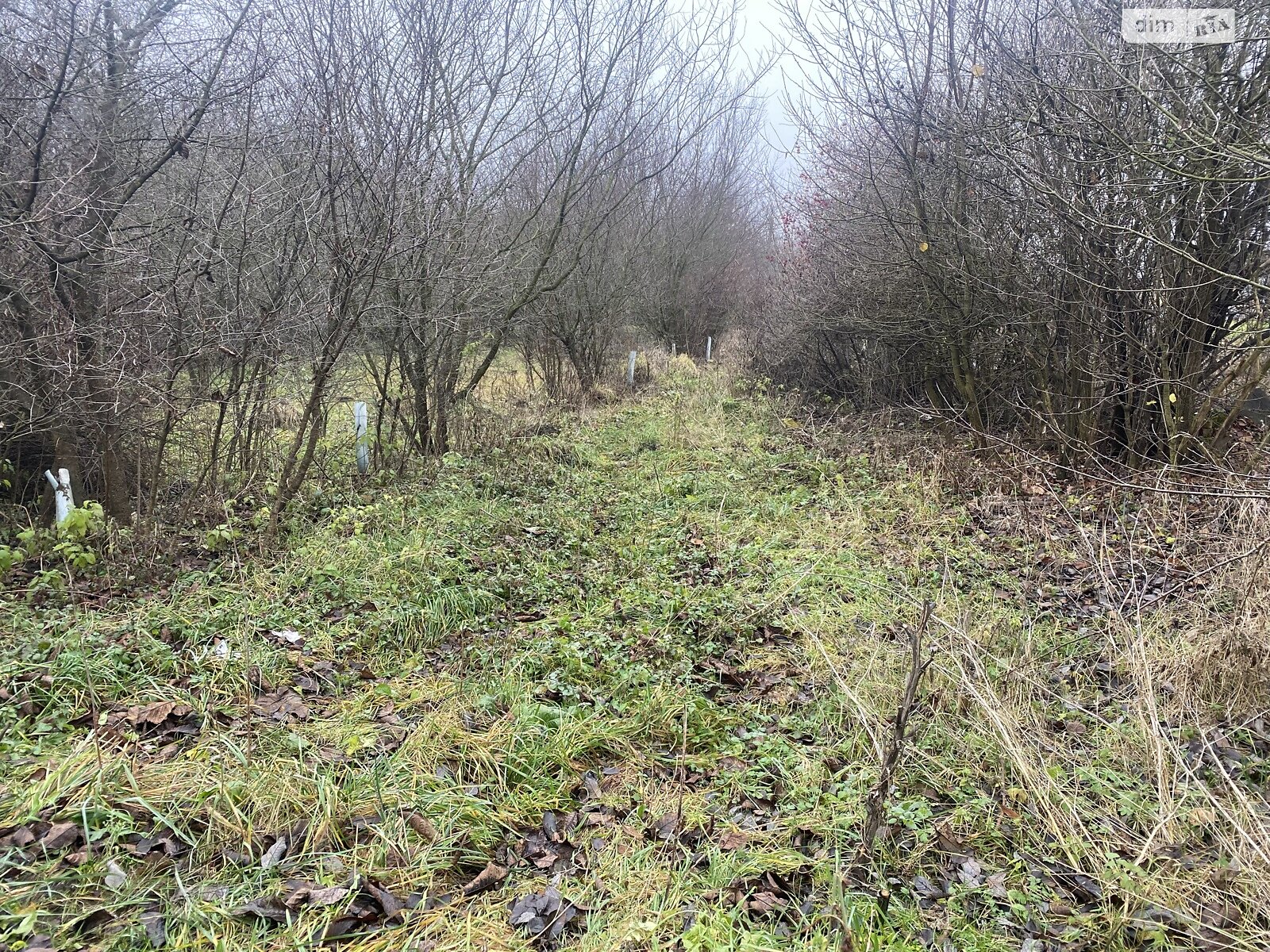 Земля сельскохозяйственного назначения в Хмельницком, район Лезневое, площадь 8 соток фото 1