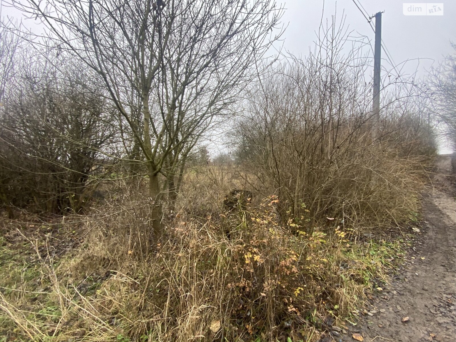 Земля сельскохозяйственного назначения в Хмельницком, район Лезневое, площадь 8 соток фото 1