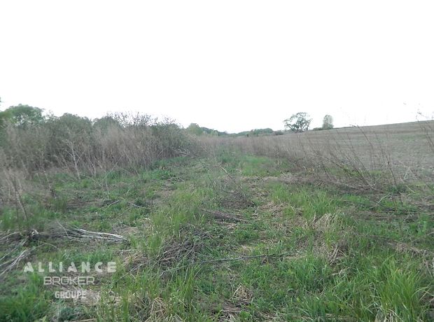 Земля сільськогосподарського призначення в Хмельницькому, район Озерна, площа 20 соток фото 1