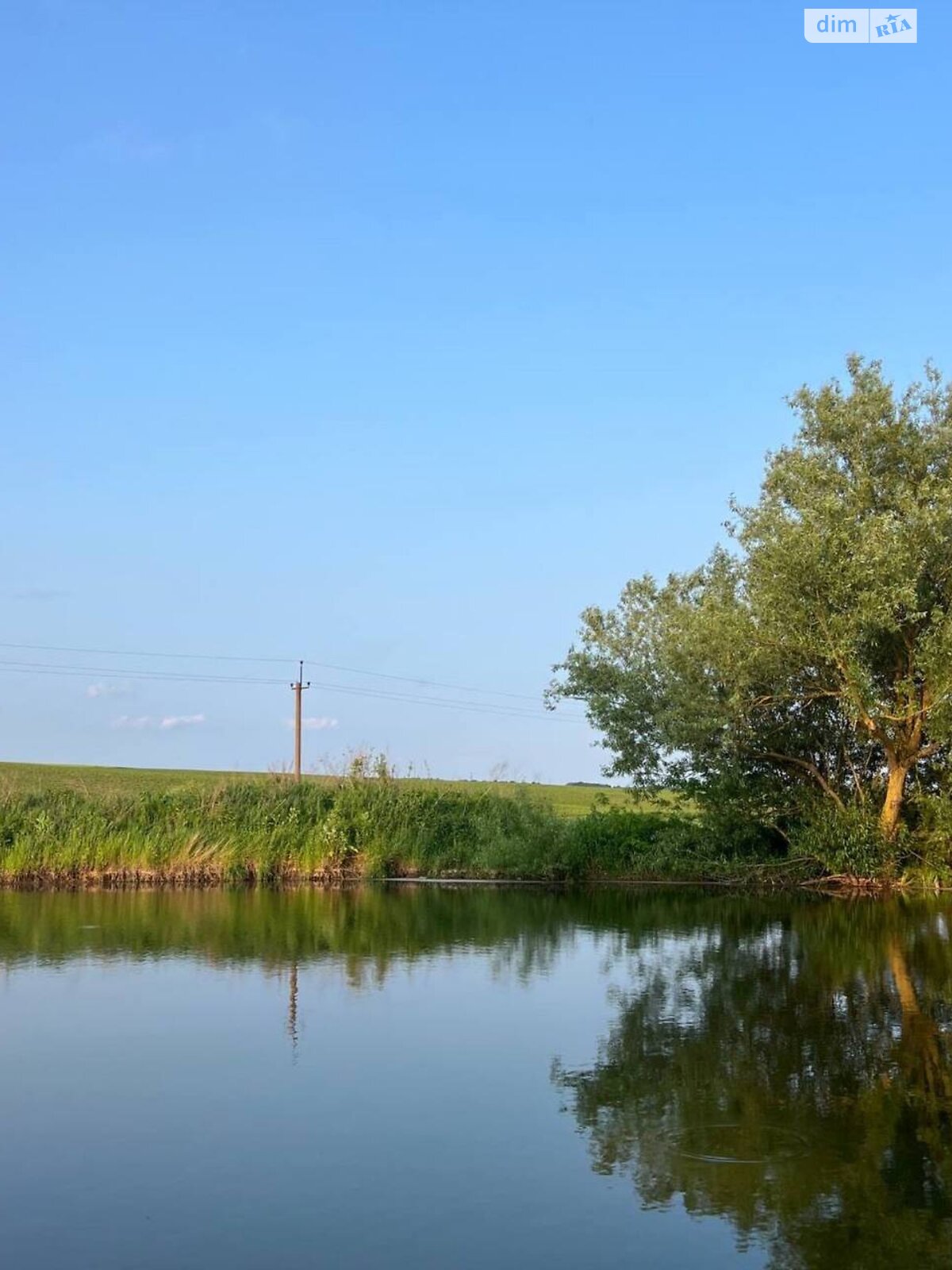 Земля сільськогосподарського призначення в Хмельницькому, район Озерна, площа 1 Га фото 1