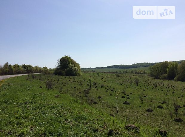 Земельный участок сельскохозяйственного назначения в Пашковцах, площадь 1.55 Га фото 1