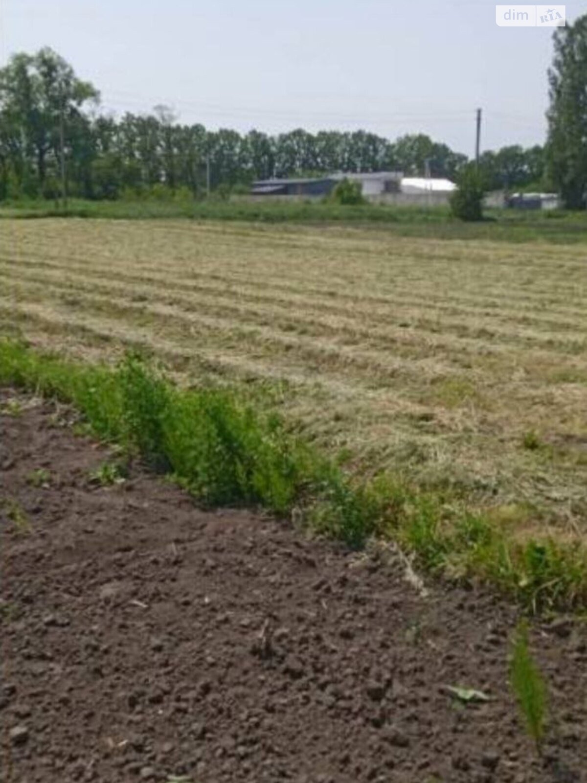 Земля сельскохозяйственного назначения в Хмельницком, район Раково, площадь 12 соток фото 1