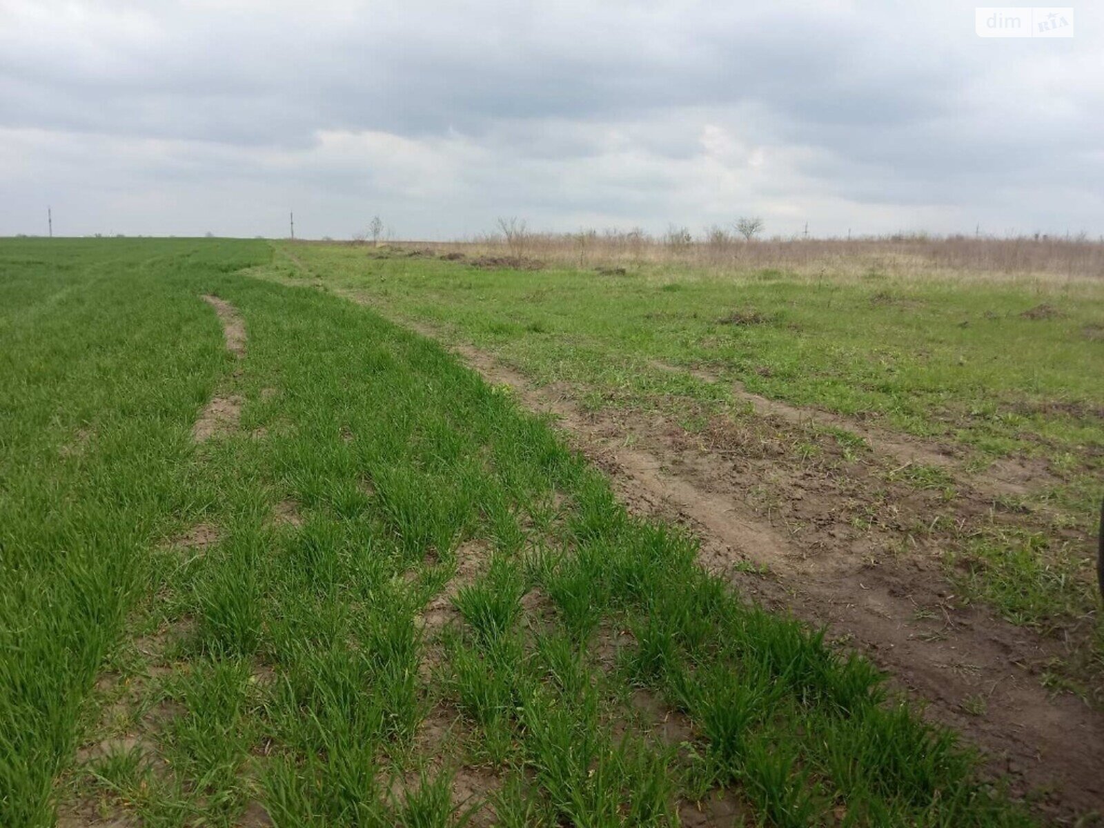 Земля сельскохозяйственного назначения в Хмельницком, район Ружична, площадь 20 соток фото 1
