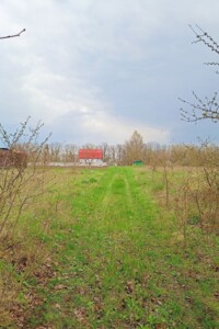 Земельна ділянка сільськогосподарського призначення в Скаржинцях, площа 9 соток фото 2