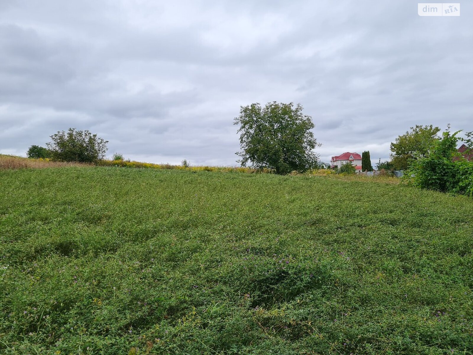 Земля сельскохозяйственного назначения в Хмельницком, район Шаровечка, площадь 8 соток фото 1