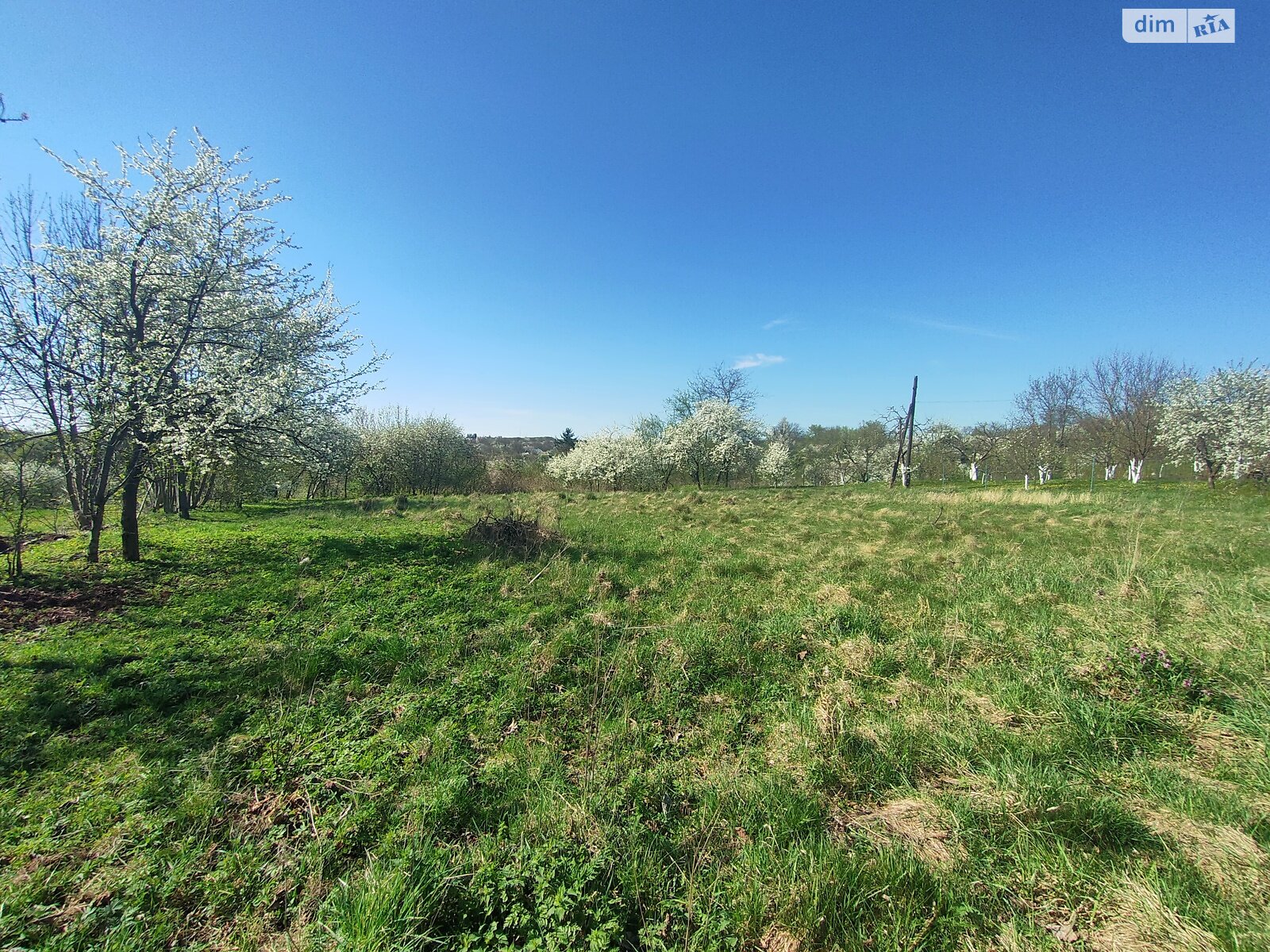 Земельный участок сельскохозяйственного назначения в Стуфчинцах, площадь 15 соток фото 1