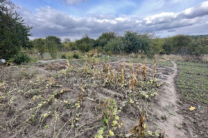 Земельный участок сельскохозяйственного назначения в Хмельницком, площадь 8 соток фото 2