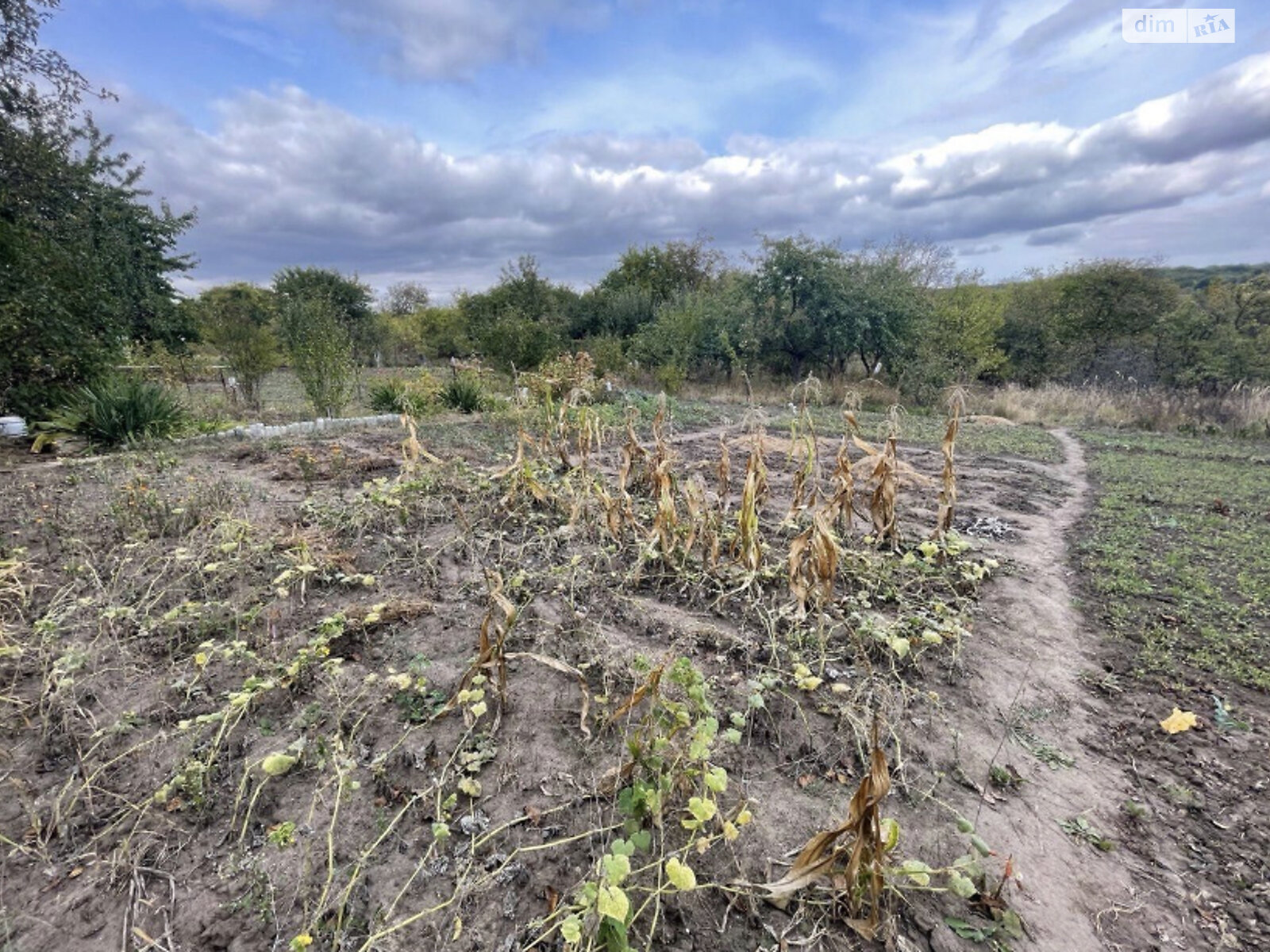 Земельный участок сельскохозяйственного назначения в Хмельницком, площадь 8 соток фото 1 Земельный участок сельскохозяйственного назначения в Хмельницком, площадь 8 соток фото 1