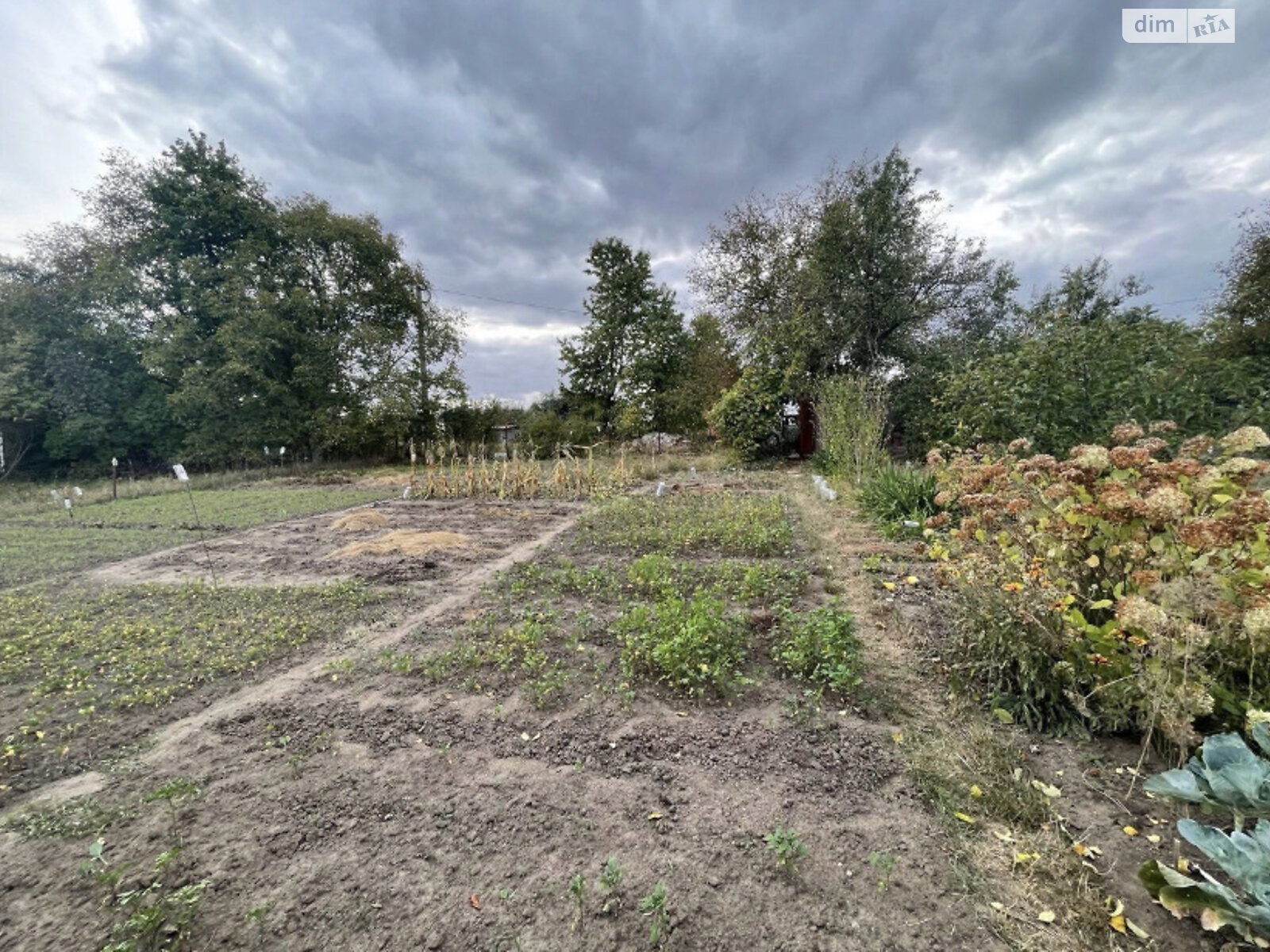 Земельный участок сельскохозяйственного назначения в Хмельницком, площадь 8 соток фото 1 Земельный участок сельскохозяйственного назначения в Хмельницком, площадь 8 соток фото 1