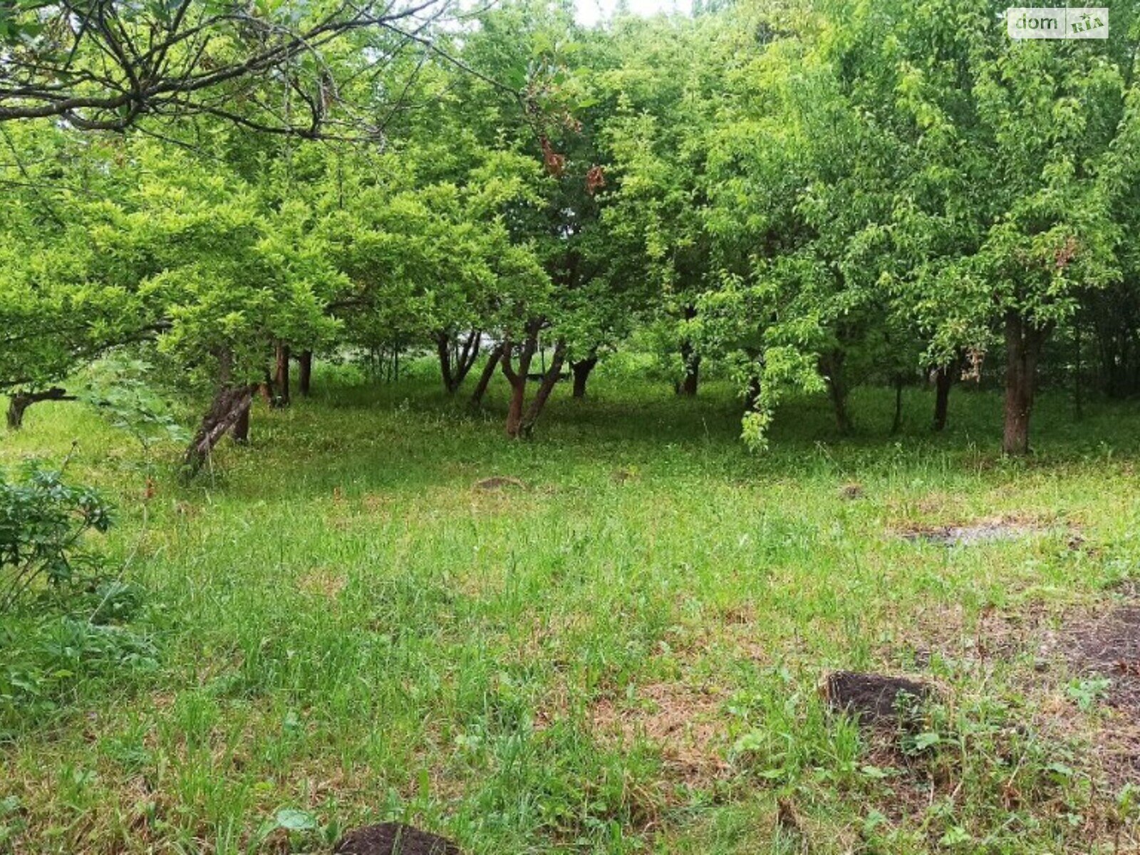 Земельна ділянка сільськогосподарського призначення в Видрові Доли, площа 6 соток фото 1