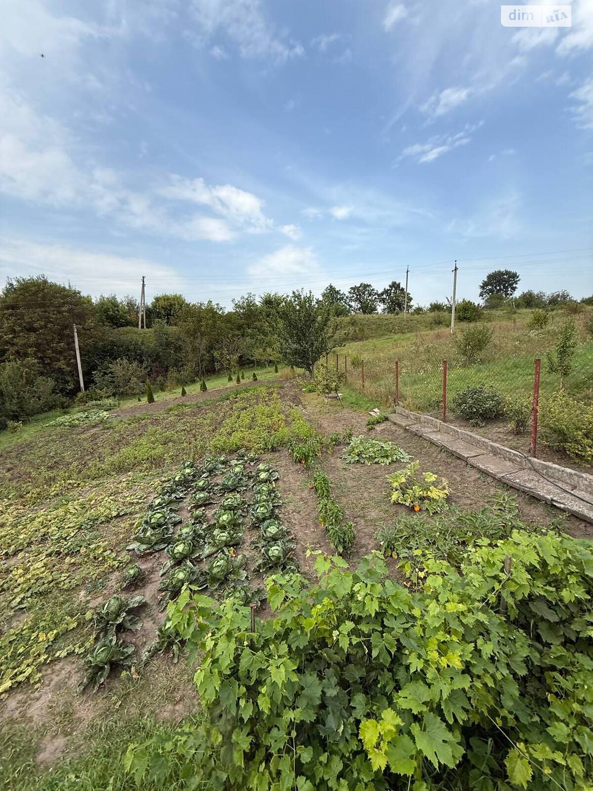 Земля сельскохозяйственного назначения в Хмельницком, район Юго-Западный, площадь 5 соток фото 1