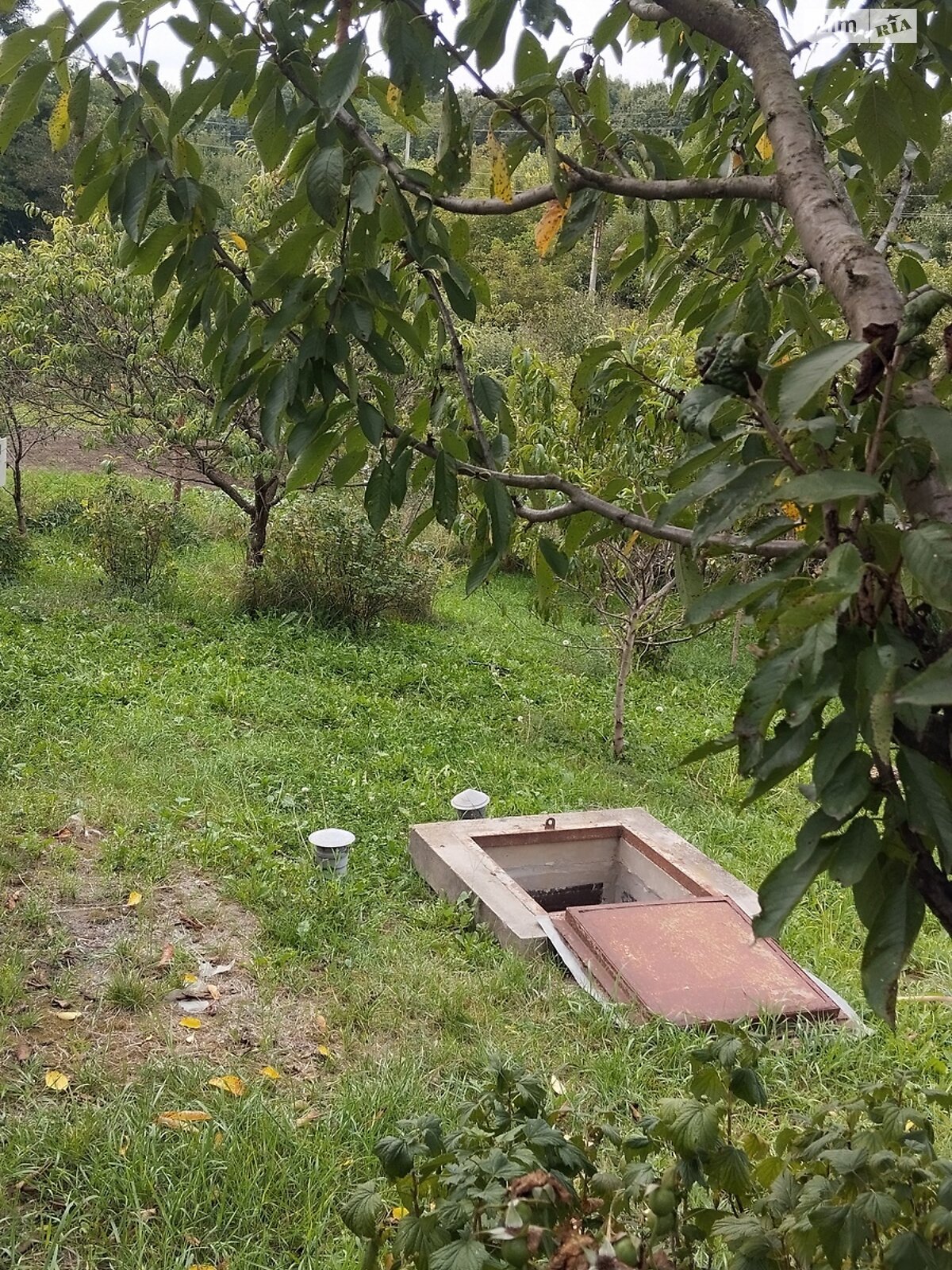 Земля сельскохозяйственного назначения в Хмельницком, район Юго-Западный, площадь 5 соток фото 1 Земля сельскохозяйственного назначения в Хмельницком, район Юго-Западный, площадь 5 соток фото 1