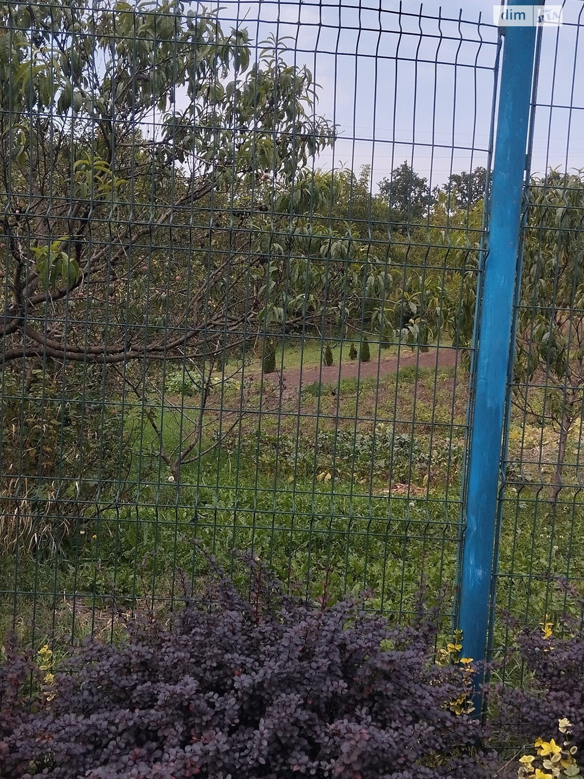 Земля сельскохозяйственного назначения в Хмельницком, район Юго-Западный, площадь 5 соток фото 1 Земля сельскохозяйственного назначения в Хмельницком, район Юго-Западный, площадь 5 соток фото 1