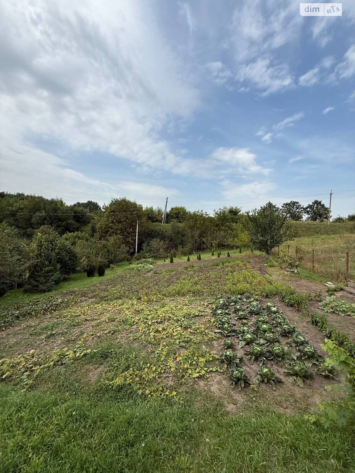 Земля сельскохозяйственного назначения в Хмельницком, район Юго-Западный, площадь 5 соток фото 1 Земля сельскохозяйственного назначения в Хмельницком, район Юго-Западный, площадь 5 соток фото 1