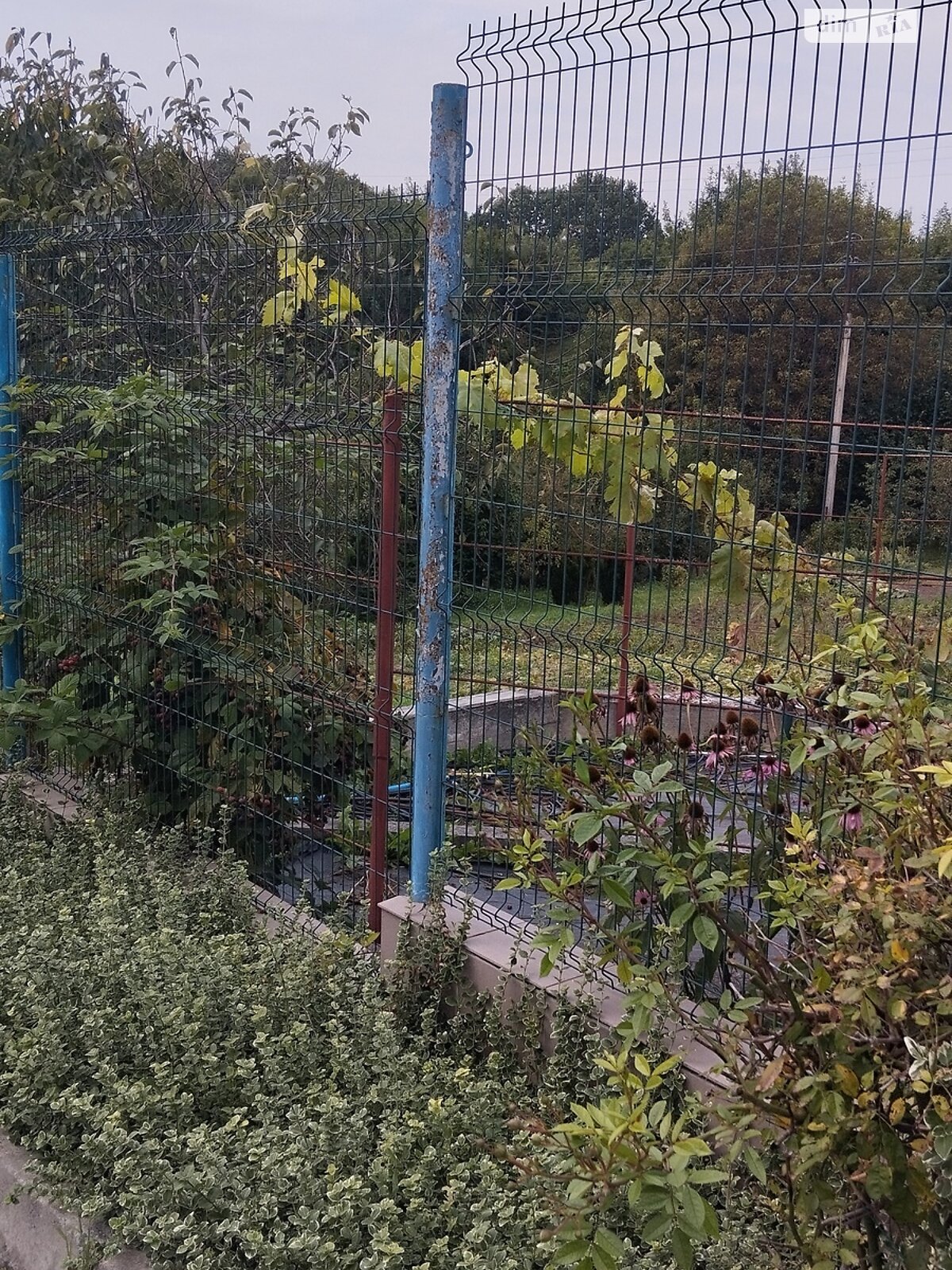 Земля сельскохозяйственного назначения в Хмельницком, район Юго-Западный, площадь 5 соток фото 1 Земля сельскохозяйственного назначения в Хмельницком, район Юго-Западный, площадь 5 соток фото 1