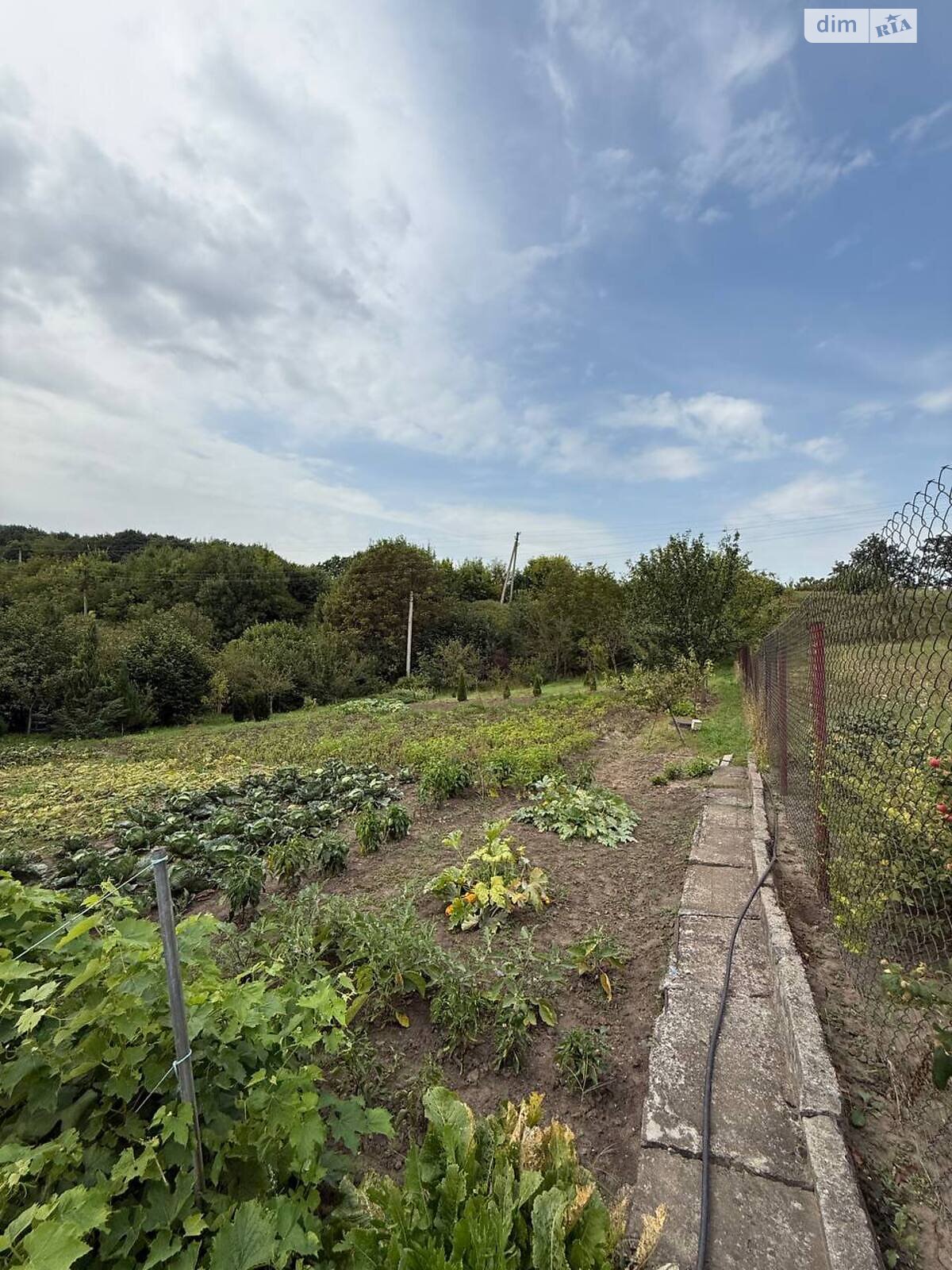Земля сельскохозяйственного назначения в Хмельницком, район Юго-Западный, площадь 5 соток фото 1 Земля сельскохозяйственного назначения в Хмельницком, район Юго-Западный, площадь 5 соток фото 1