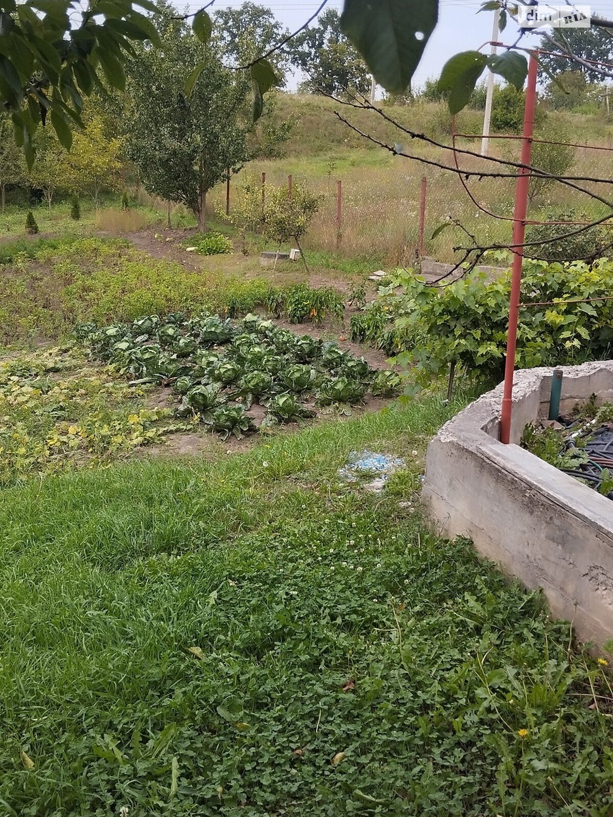 Земля сельскохозяйственного назначения в Хмельницком, район Юго-Западный, площадь 5 соток фото 1 Земля сельскохозяйственного назначения в Хмельницком, район Юго-Западный, площадь 5 соток фото 1