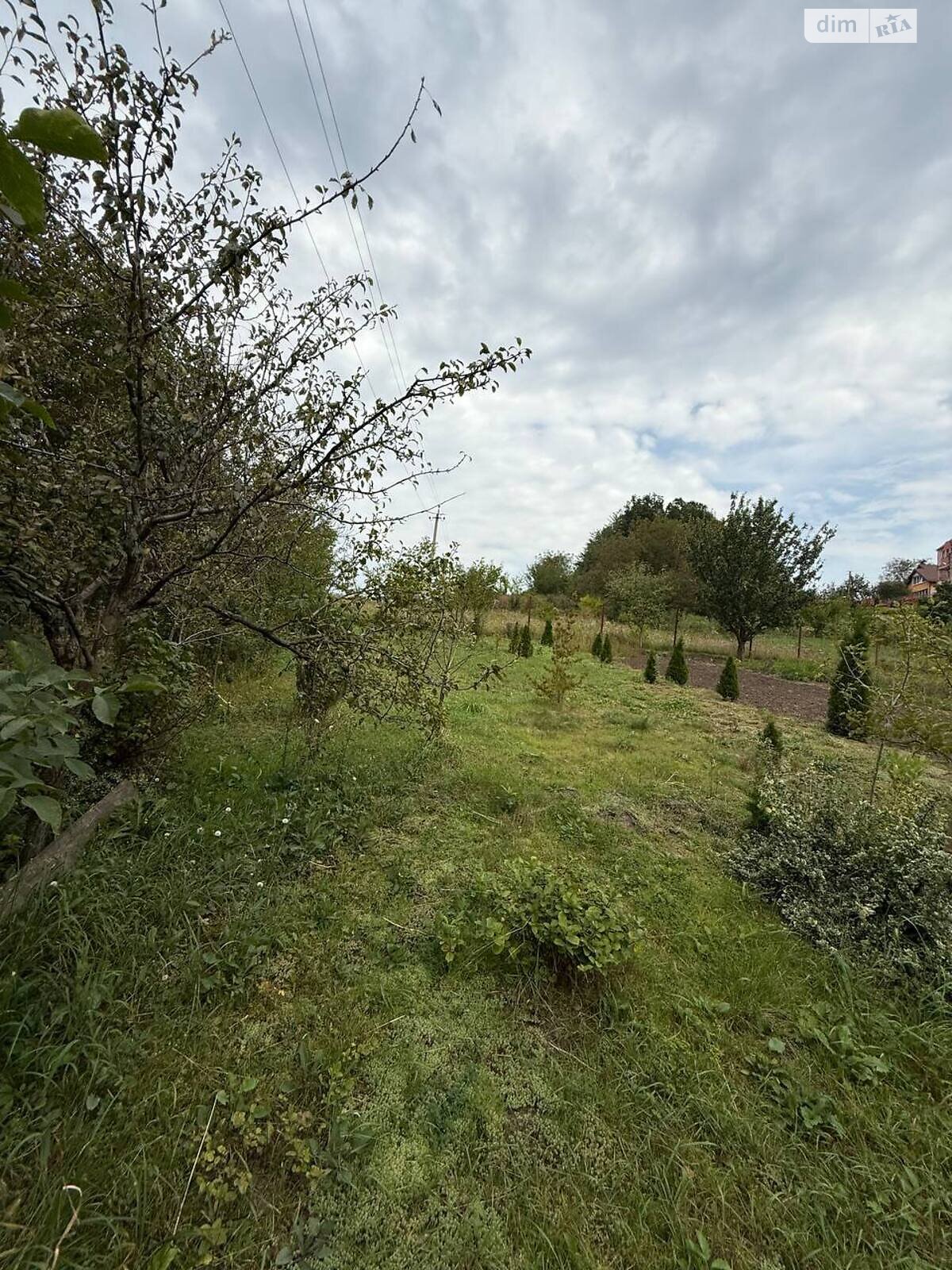 Земля сельскохозяйственного назначения в Хмельницком, район Юго-Западный, площадь 5 соток фото 1 Земля сельскохозяйственного назначения в Хмельницком, район Юго-Западный, площадь 5 соток фото 1