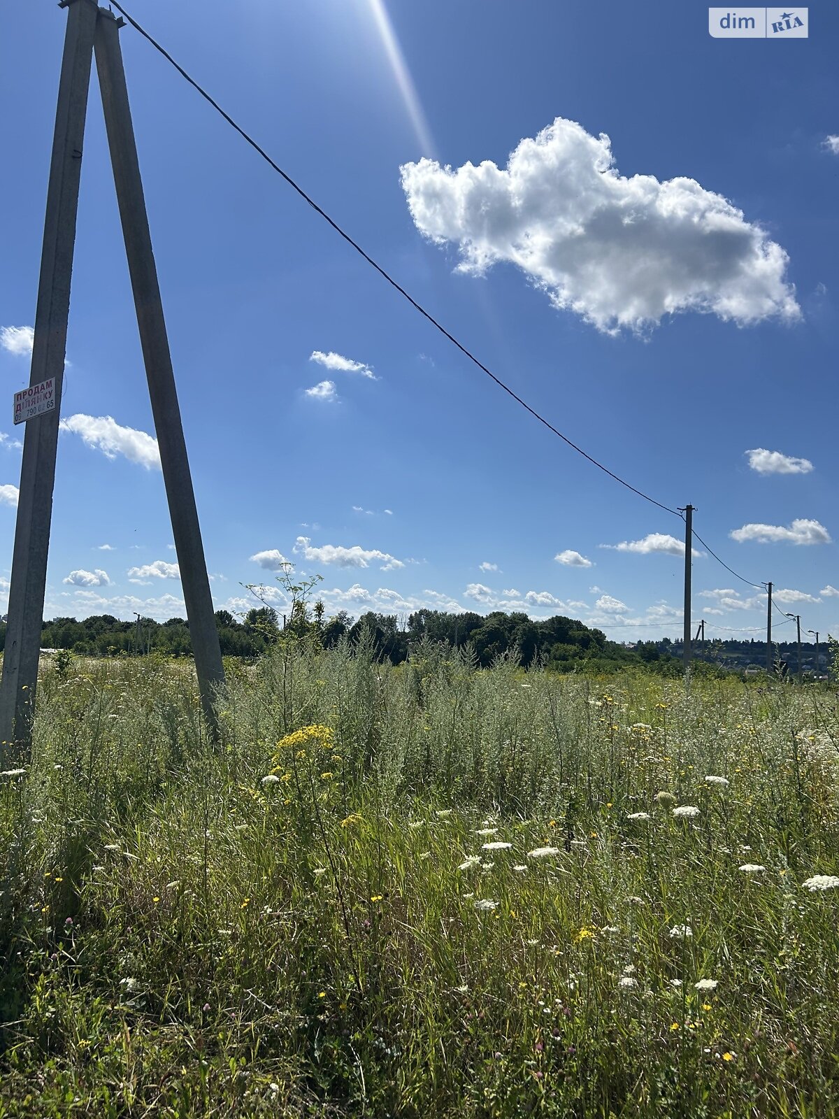 Земля сельскохозяйственного назначения в Хмельницком, район Юго-Западный, площадь 20 соток фото 1 Земля сельскохозяйственного назначения в Хмельницком, район Юго-Западный, площадь 20 соток фото 1