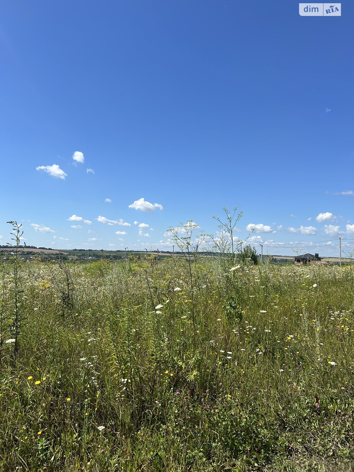 Земля сельскохозяйственного назначения в Хмельницком, район Юго-Западный, площадь 20 соток фото 1 Земля сельскохозяйственного назначения в Хмельницком, район Юго-Западный, площадь 20 соток фото 1