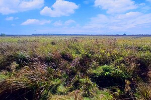 Земельный участок сельскохозяйственного назначения в Стрижавке, площадь 1.885 Га фото 2