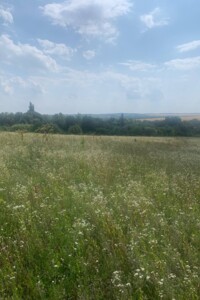 Земельный участок сельскохозяйственного назначения в Малашовцах, площадь 0.095 Га фото 2